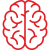 brain (1) brain (1)